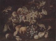 unknow artist Still life of red and white grapes,peaches and plums,on a stone ledge Spain oil painting reproduction